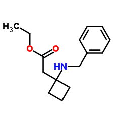 乙基 2-(1-(苯甲基氨基)环丁基)醋酸盐图片