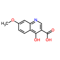 4-Hydroxy-7-methoxyquinoline-3-carboxylic acid structure