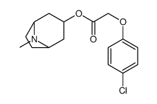 6658-61-3 structure