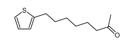 8-[2]thienyl-octan-2-one Structure