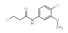 3-chloro-N-(4-chloro-3-methoxyphenyl)propanamide结构式