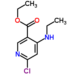 Ethyl 6-chloro-4-(ethylamino)nicotinate图片