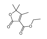 13156-09-7 structure