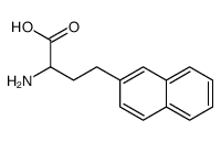 2-amino-4-naphthalen-2-ylbutanoic acid Structure