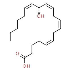 13-hydroxyeicosatetraenoic acid picture