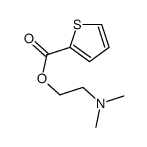 2-(dimethylamino)ethyl thiophene-2-carboxylate结构式