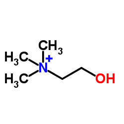 胆碱图片