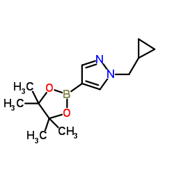 1-(环丙基甲基)-4-(4,4,5,5-四甲基-1,3,2-二噁硼烷-2-基)-1H-吡唑图片