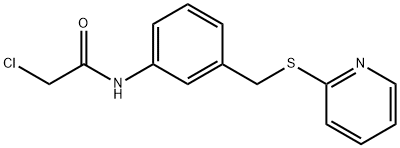 2-chloro-N-{3-[(pyridin-2-ylsulfanyl)methyl]phenyl}acetamide picture