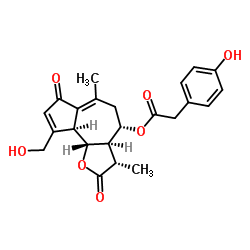 125519-47-3 structure