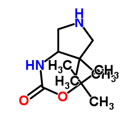 (4,4-Dimethyl-pyrrolidin-3-yl)-carbamic acid tert-butyl ester picture