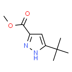 methyl 3-tert-butyl-1H-pyrazole-5-carboxylate结构式