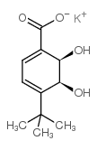 205639-92-5结构式