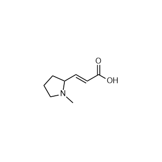 (E)-3-(1-Methylpyrrolidin-2-yl)acrylic acid Structure