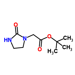 tert-butyl 2-(2-oxoimidazolidin-1-yl)acetate结构式