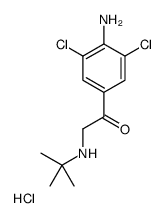 1-(4-氨基-3,5-二氯苯基)-2-叔丁胺乙酮盐酸盐图片