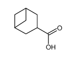 Bicyclo[3.1.1]heptan-3-carbonsaeure Structure