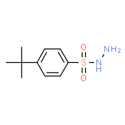 4-tert-Butylbenzenesulfonohydrazide结构式