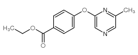 ethyl 4-(6-methylpyrazin-2-yl)oxybenzoate picture