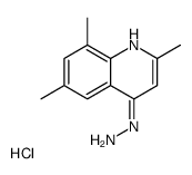 4-Hydrazino-2,6,8-trimethylquinoline hydrochloride结构式