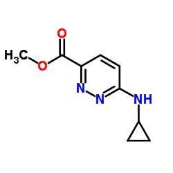 Methyl 6-(cyclopropylamino)-3-pyridazinecarboxylate图片