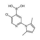 [5-chloro-2-(2,5-dimethylpyrrol-1-yl)pyridin-4-yl]boronic acid结构式