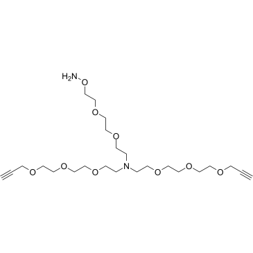 N-(Aminooxy-PEG2)-N-bis(PEG3-propargyl)结构式