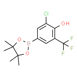 5-Chloro-4-hydroxy-3-(trifluoromethyl)phenylboronic acid pinacol ester Structure