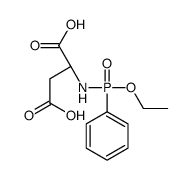 (2S)-2-[[ethoxy(phenyl)phosphoryl]amino]butanedioic acid Structure