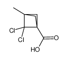 2,2-dichloro-1-methylbicyclo[1.1.1]pentane-3-carboxylic acid Structure