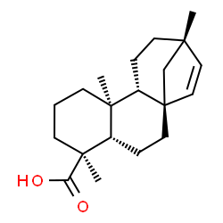 beyer-15-en-18-oic acid structure