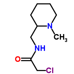 2-Chloro-N-[(1-methyl-2-piperidinyl)methyl]acetamide picture