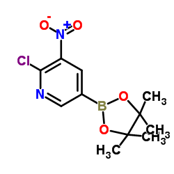 2-CHLORO-3-NITROPYRIDINE-5-BORONIC ACID PINACOL ESTER picture