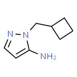 1-(Cyclobutylmethyl)-1H-pyrazol-5-amine picture