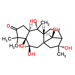 (14R)-5,6β,10,14,16-Pentahydroxygrayanotoxan-3-one structure