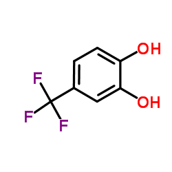 4-(trifluoromethyl)benzene-1,2-diol Structure