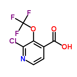 2-Chloro-3-(trifluoromethoxy)isonicotinic acid Structure