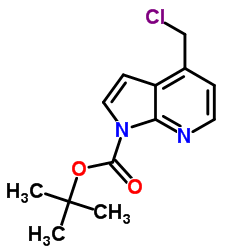 2-Methyl-2-propanyl 4-(chloromethyl)-1H-pyrrolo[2,3-b]pyridine-1-carboxylate结构式