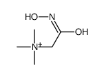 [2-(hydroxyamino)-2-oxoethyl]-trimethylazanium Structure