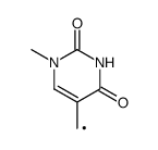 1-methylthymine radical Structure