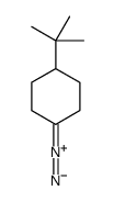 1-tert-butyl-4-diazocyclohexane Structure