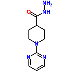 1-PYRIMIDIN-2-YL-PIPERIDINE-4-CARBOXYLIC ACID HYDRAZIDE picture