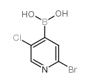 2-溴-5-氯吡啶-4-硼酸图片