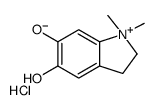 1,1-dimethyl-2,3-dihydroindol-1-ium-5,6-diol,chloride Structure