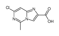 7-chloro-5-methylimidazo[1,2-c]pyrimidine-2-carboxylic acid结构式