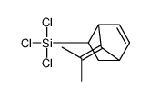 trichloro-(7-propan-2-ylidene-5-bicyclo[2.2.1]hept-2-enyl)silane Structure