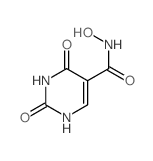 N-hydroxy-2,4-dioxo-1H-pyrimidine-5-carboxamide Structure