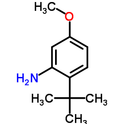 5-Methoxy-2-(2-methyl-2-propanyl)aniline Structure