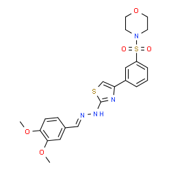 4-[(3-{2-[(2E)-2-(3,4-dimethoxybenzylidene)hydrazinyl]-1,3-thiazol-4-yl}phenyl)sulfonyl]morpholine结构式