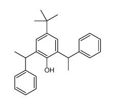 4-(1,1-dimethylethyl)-2,6-bis(1-phenylethyl)-Phenol Structure